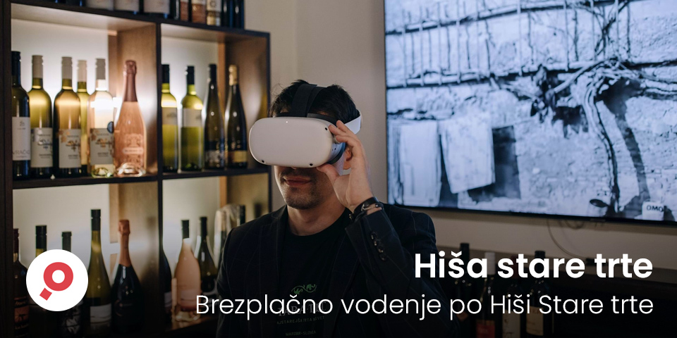 Brezplačno vodenje po Hiši Stare trte z virtualnim doživetjem zgodbe najstarejše trte sveta