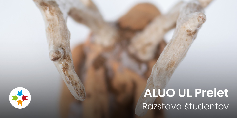 Razstava študentov ALUO UL Prelet Razstava študentov ALUO UL Prelet