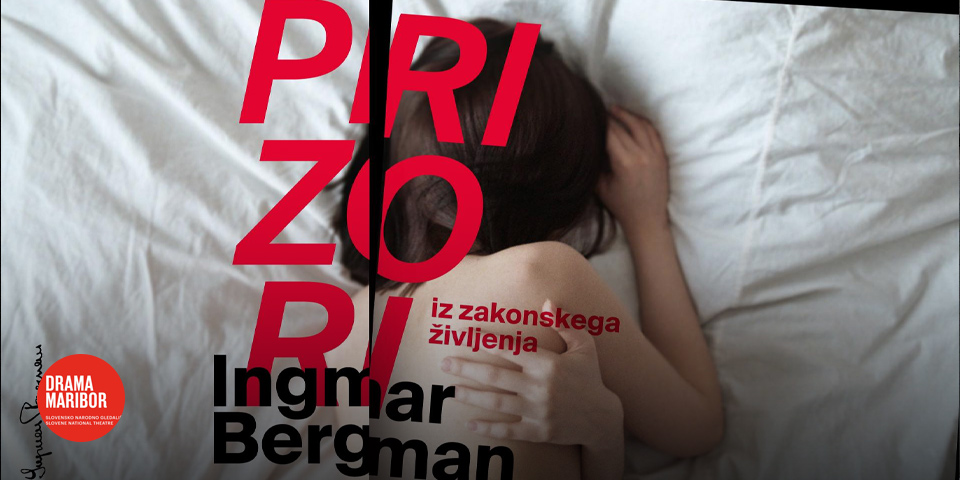 Prizori iz zakonskega življenja Prizori iz zakonskega življenja