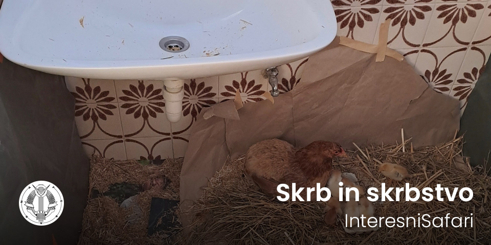 SobaZaGosteMaribor: InteresniSafari »Skrb in skrbstvo«