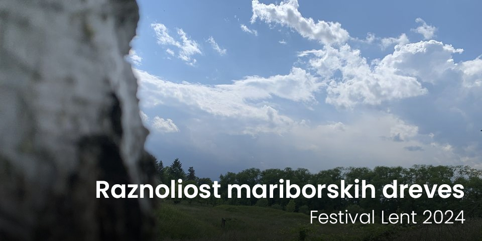 Raznoliost mariborskih dreves