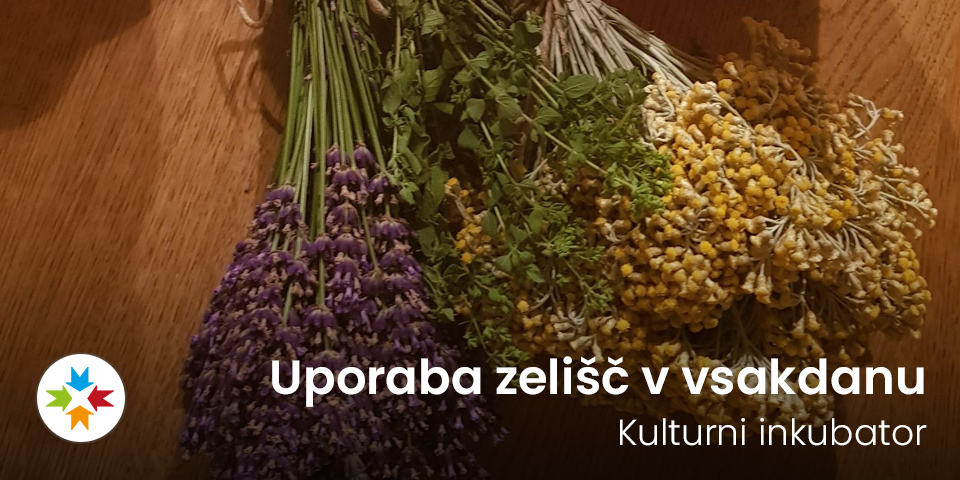 Delavnica: Uporaba zelišč v vsakdanu