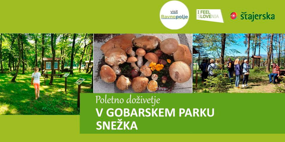 Poletno doživetje v Gobarskem parku Snežka