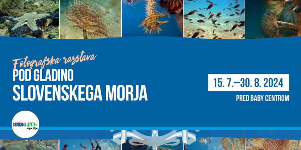 Razstava: Pod gladino slovenskega morja