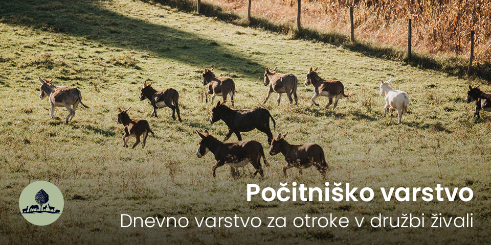 Počitniško varstvo na kmetiji