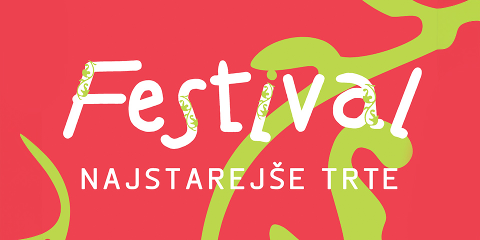 Festival Najstarejše trte 2024 Festival Najstarejše trte 2024