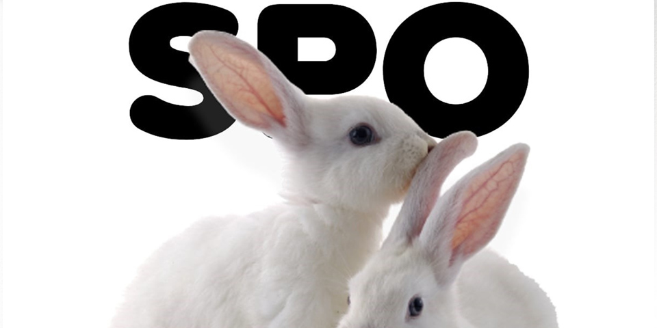 SPOji - Gotta catch' em all! ... Ali pač? (SPOznaj SPO) SPOji - Gotta catch' em all! ... Ali pač? (SPOznaj SPO)