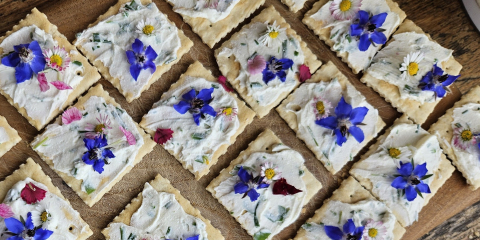 Grajski vrtovi in obedi