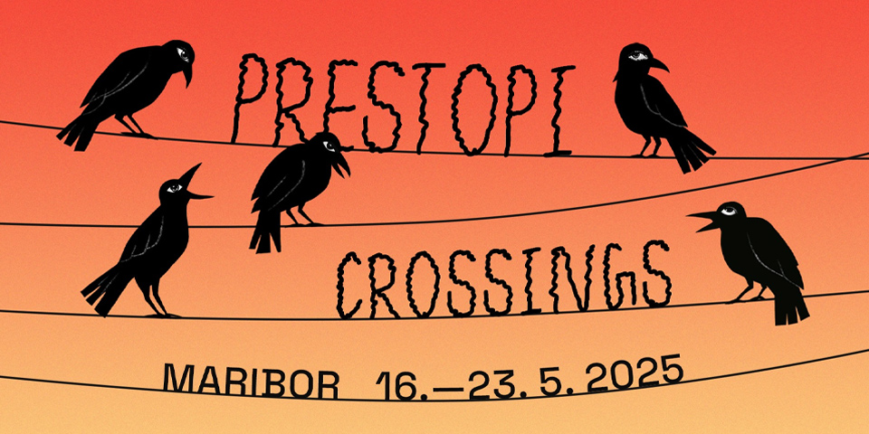 7. Mednarodni festival uprizoritvenih umetnosti PRESTOPI 7. Mednarodni festival uprizoritvenih umetnosti PRESTOPI