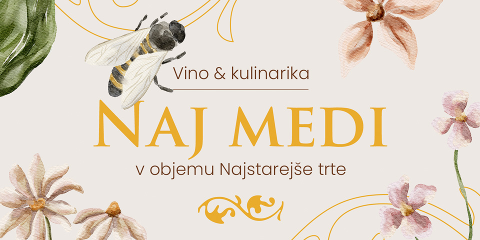 NAJ MEDI v objemu Najstarejše trte NAJ MEDI v objemu Najstarejše trte