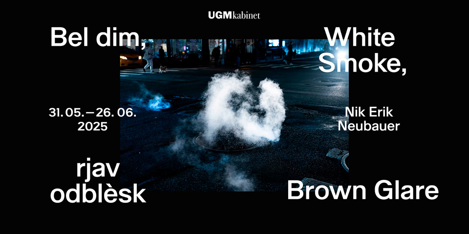 Nik Erik Neubauer / Bel dim, rjav odblèsk