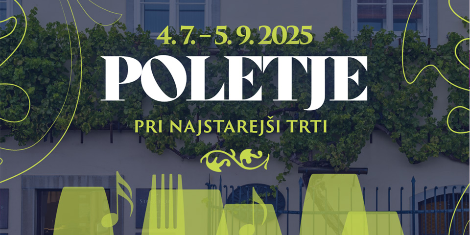 Poletje pri Najstarejši trti Poletje pri Najstarejši trti