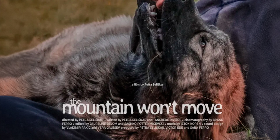 Ogled filma Gora se ne bo premaknila (slovenska premiera)
