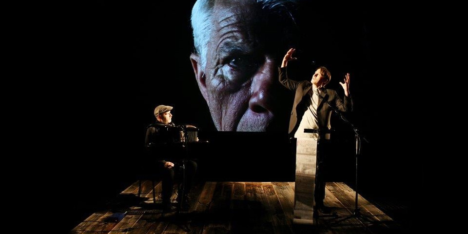 Moja vojna harmonika