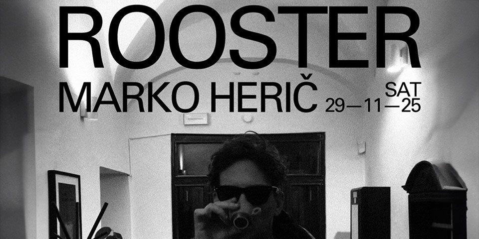 Rooster - Marko Herič Rooster - Marko Herič
