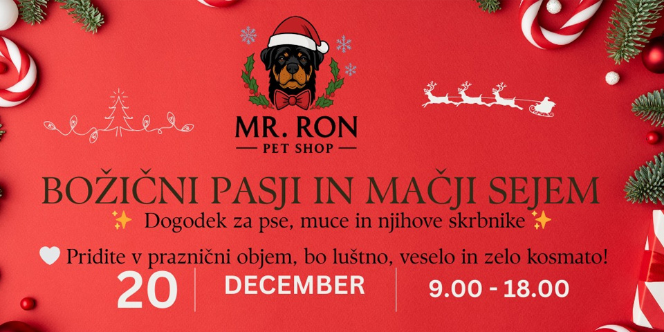 Božični pasji in mačji sejem Božični pasji in mačji sejem