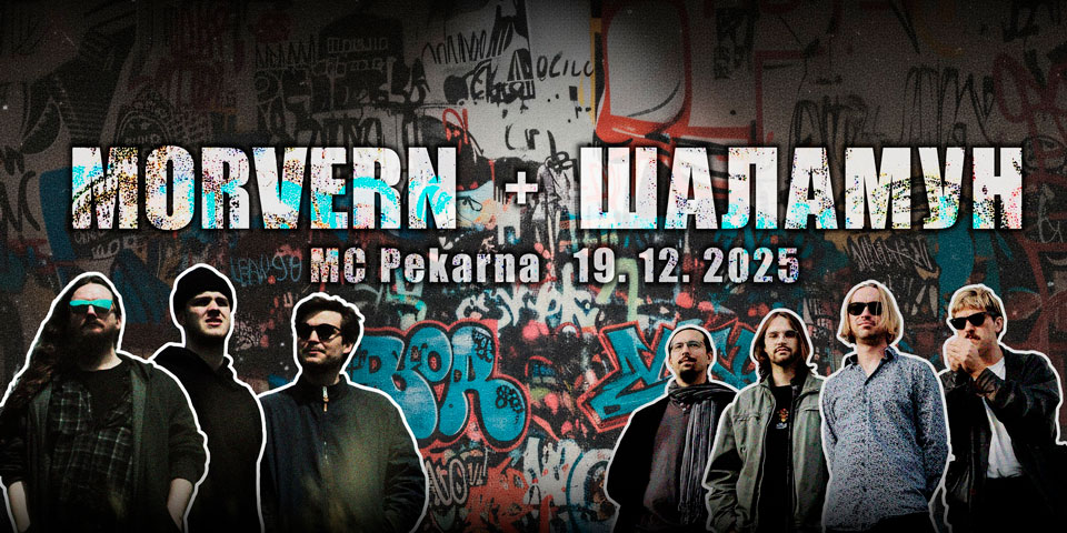 Šalamun, Morvern Šalamun, Morvern