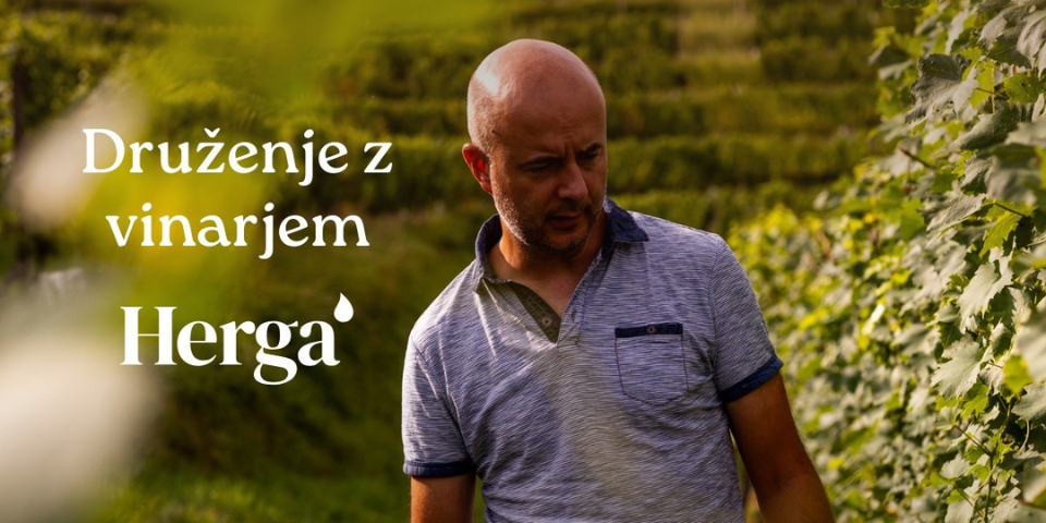 Druženje z vinarjem: Herga