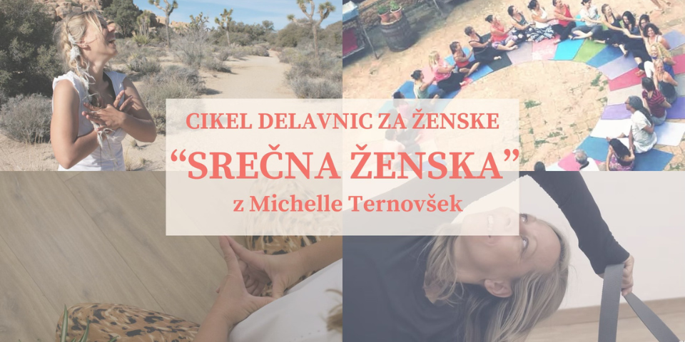 Cikel delavnic