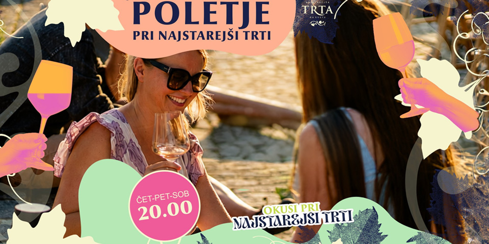 Poletje pri Najstarejši trti