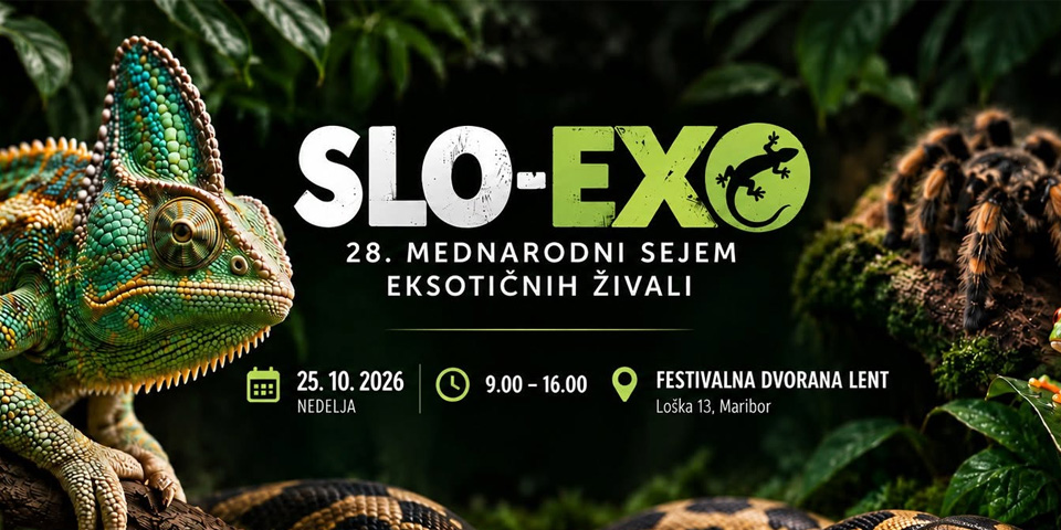 SLO-EXO Mednarodni sejem eksotičnih živali