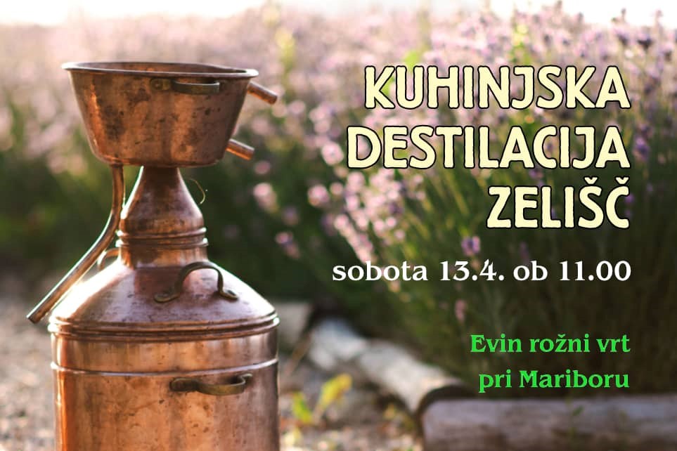 Kuhinjska destilacija zelišč Kuhinjska destilacija zelišč