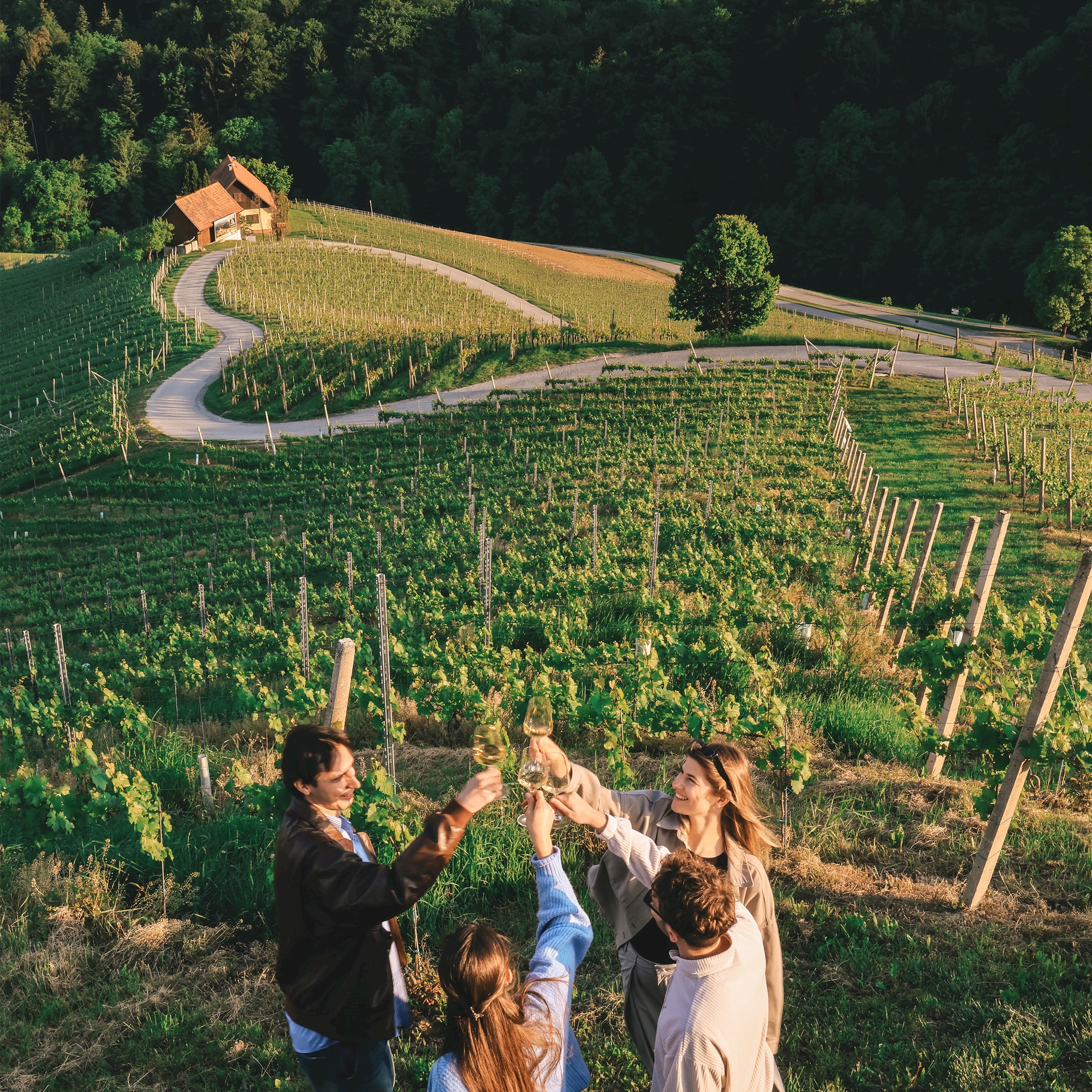 Sunset Wine Experience Sunset Wine Experience
