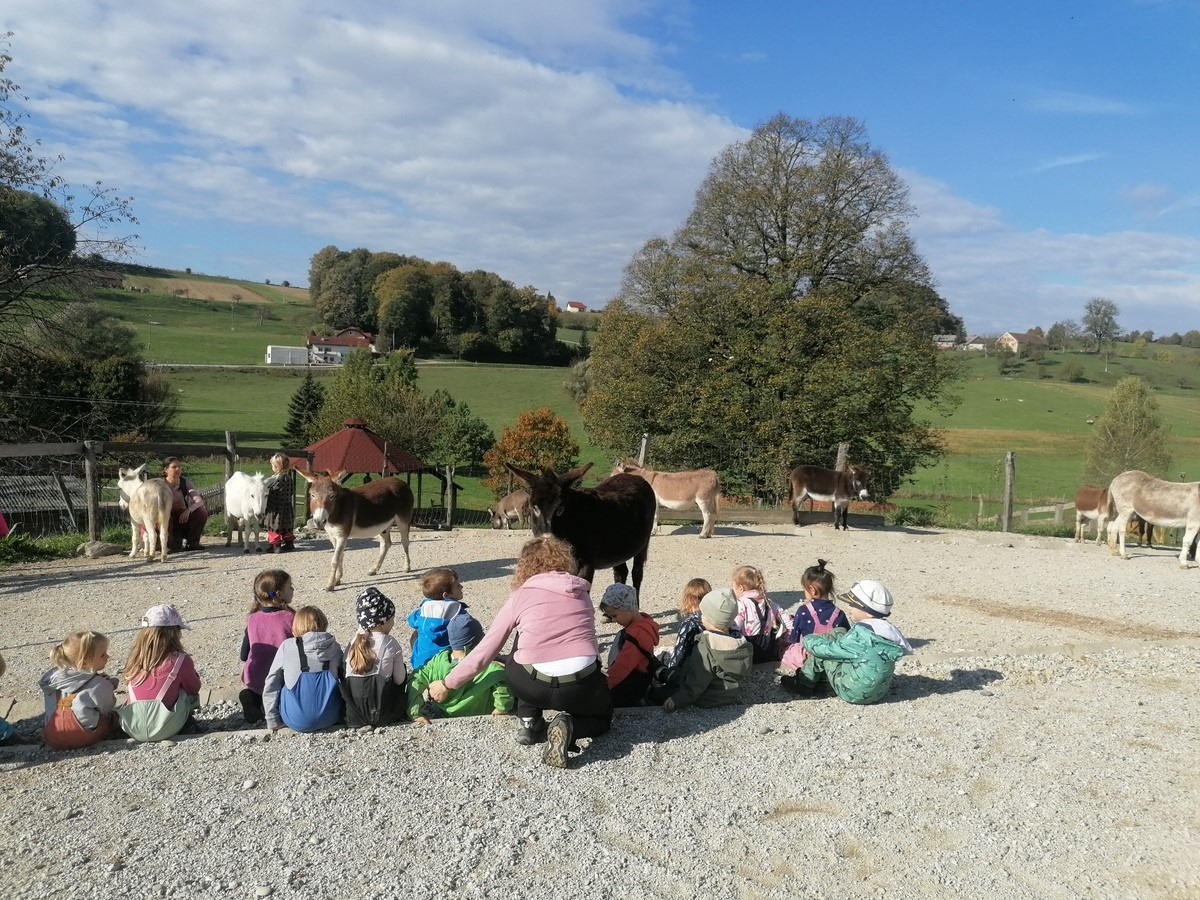 Voden ogled posestva in druženje z živalmi