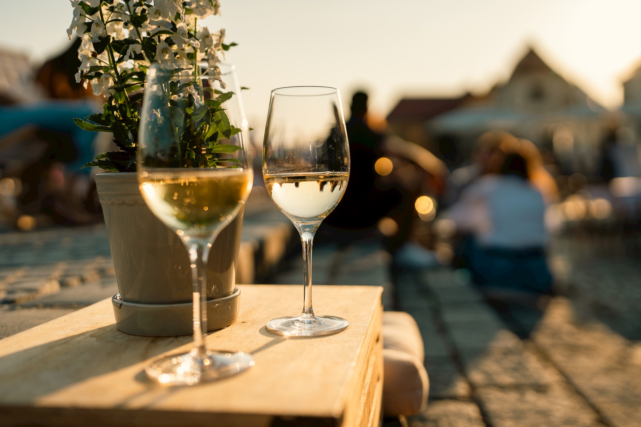 Poletje pri Najstarejši trti: Vinski večer z vini Bračko Poletje pri Najstarejši trti: Vinski večer z vini Bračko