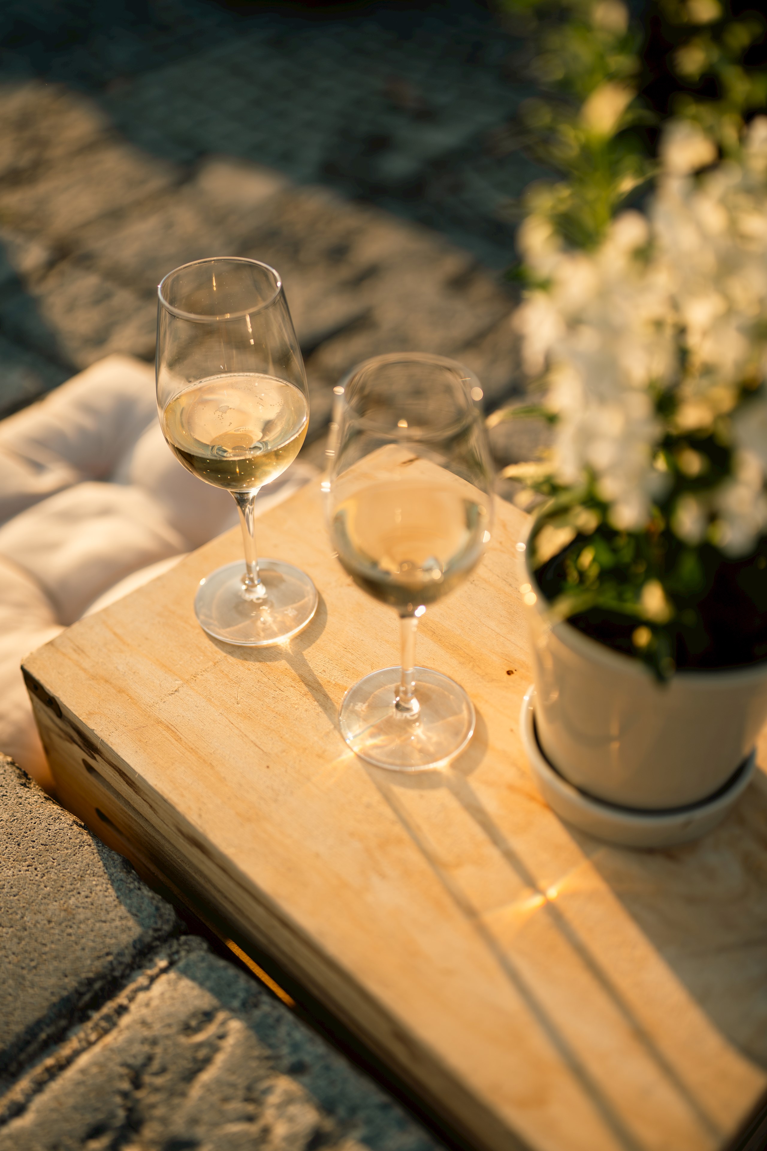 Poletje pri Najstarejši trti: Vinski večer z vini Frešer Poletje pri Najstarejši trti: Vinski večer z vini Frešer