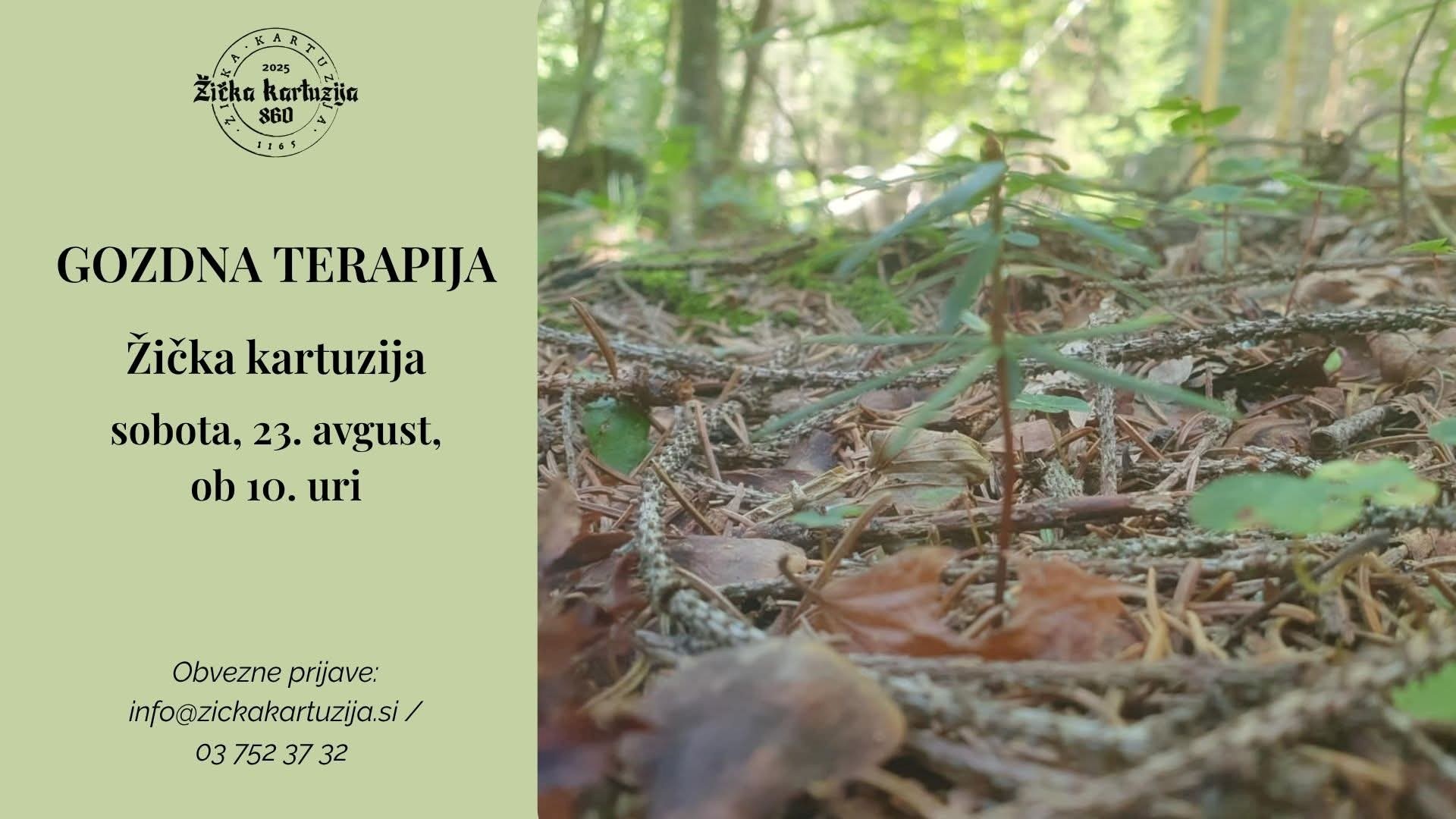 Gozdna terapija