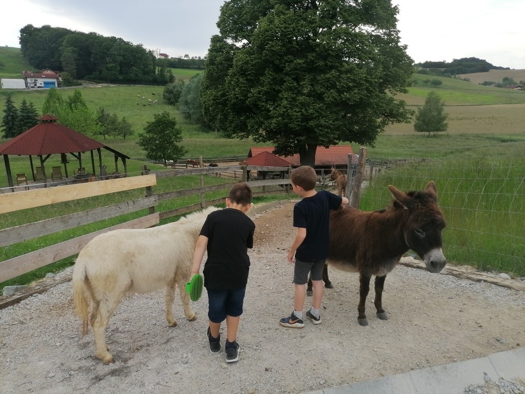 Počitniško varstvo na kmetiji Počitniško varstvo na kmetiji