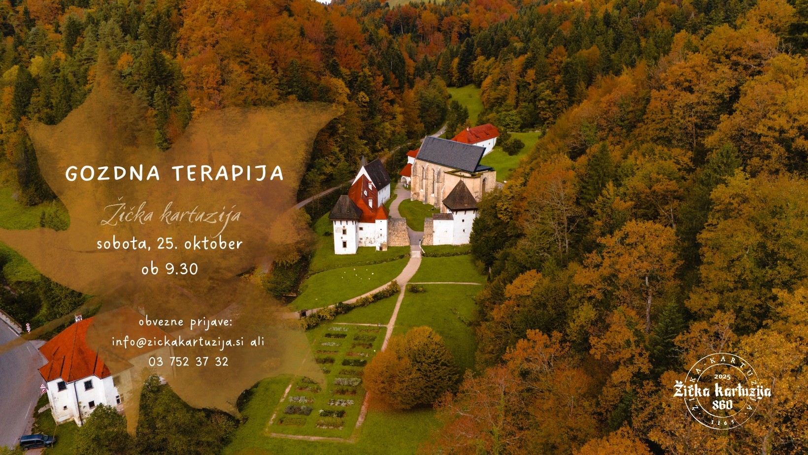 Gozdna terapija Gozdna terapija