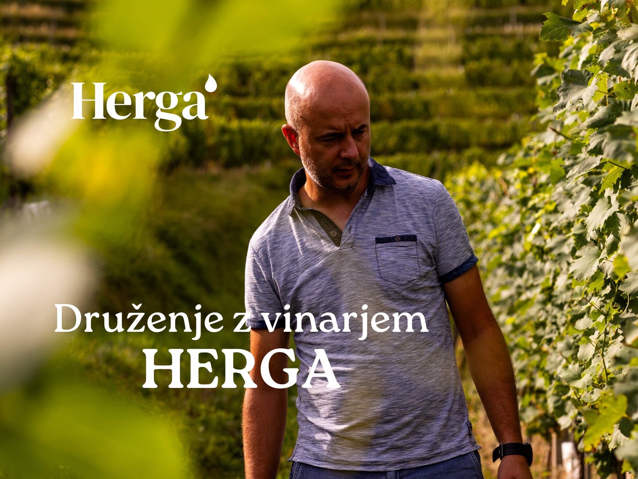 Druženje z vinarjem: HERGA (16.10.2025) Druženje z vinarjem: HERGA (16.10.2025)