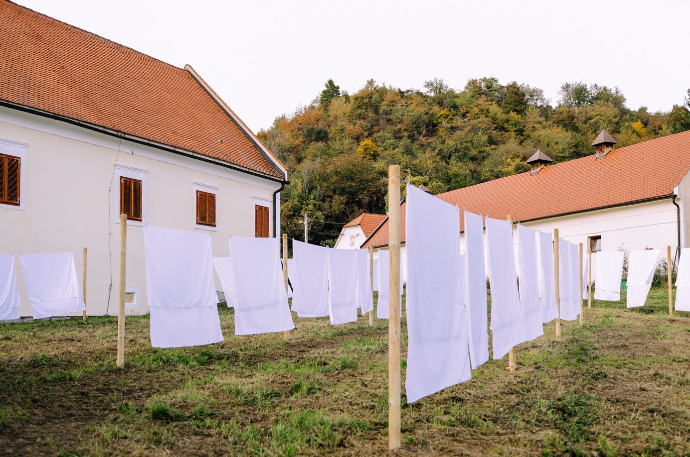 Arhitekturno-umetniški intervenciji za Račji dvor