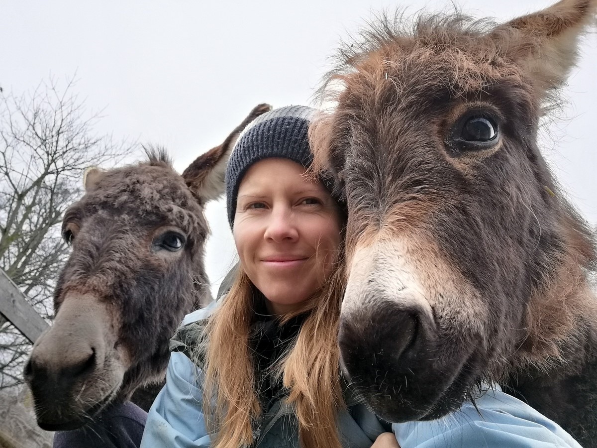 Dopoldne v družbi živali - za odrasle