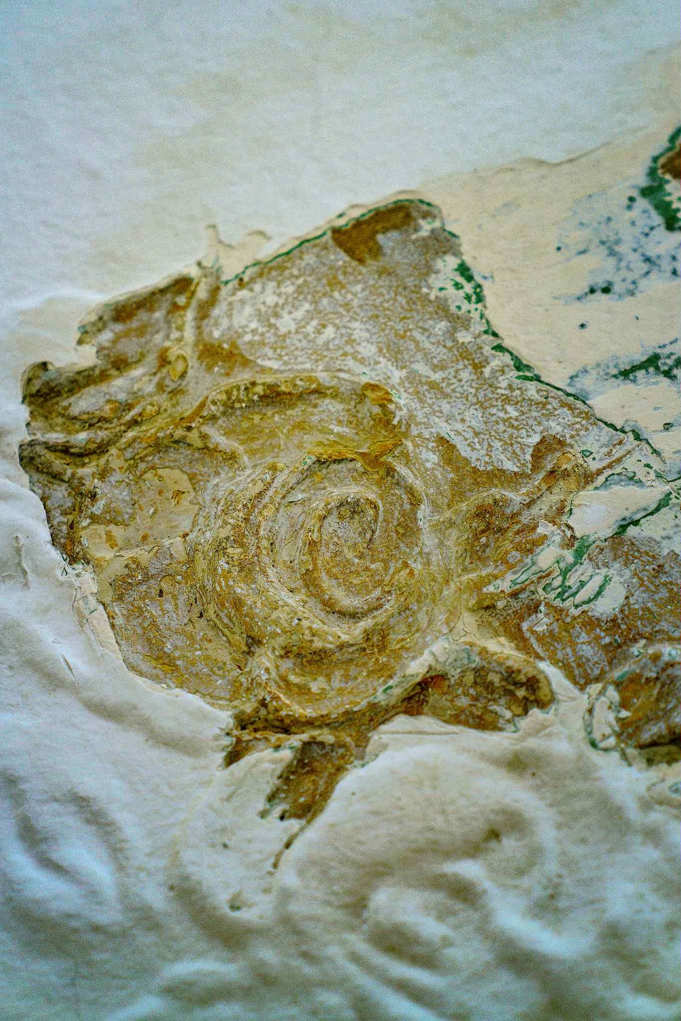 BoNBoNJERA, Otvoritev prenovljene E2RD Galerije