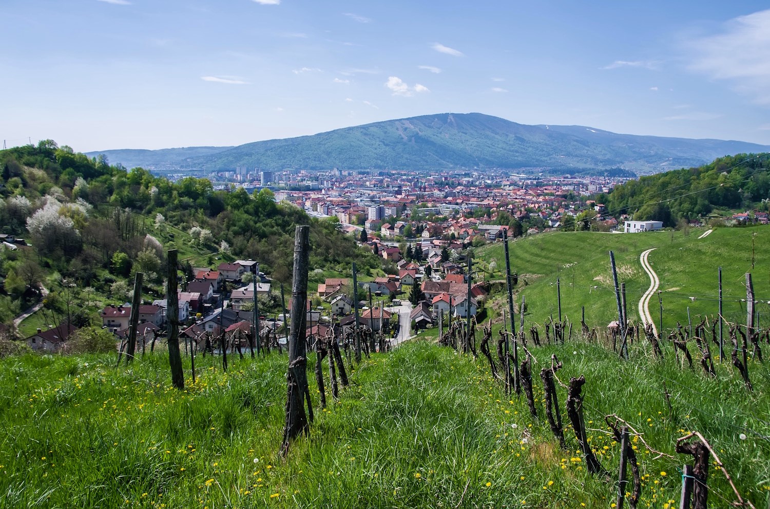 MOJE MESTO: Odprtje razstave Teodorja Veingerla