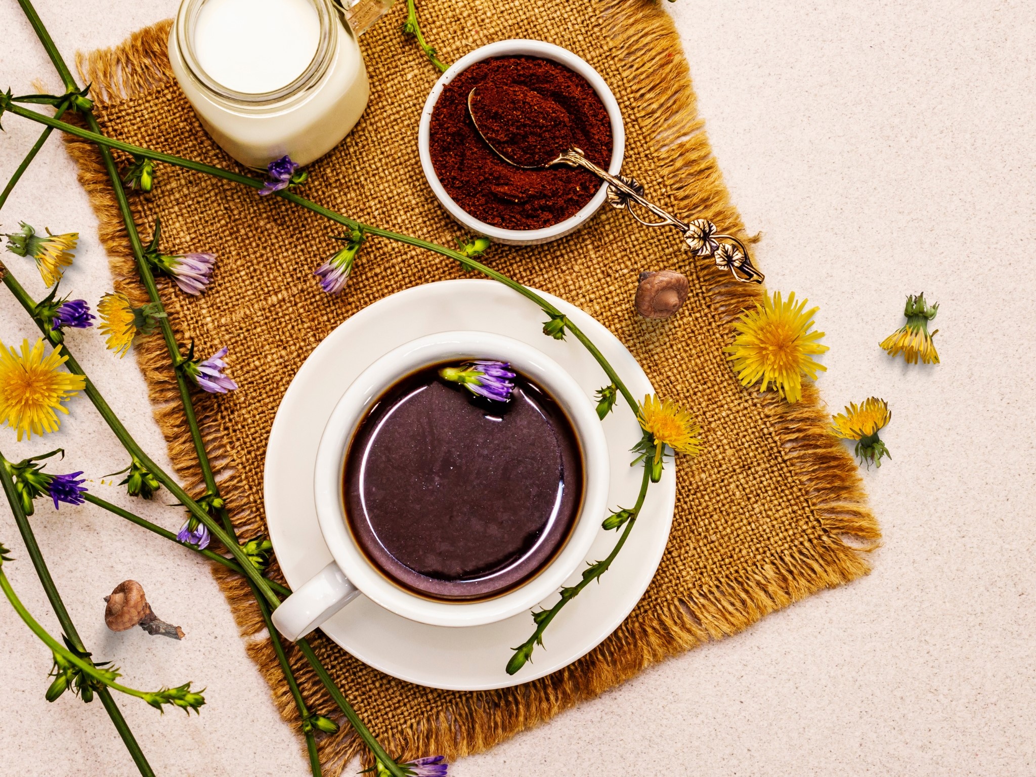 GRAJSKI VRTOVI IN OBEDI GRAJSKI VRTOVI IN OBEDI