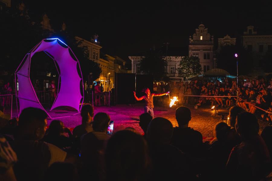 Ana Mrzla Mariborska: Influx