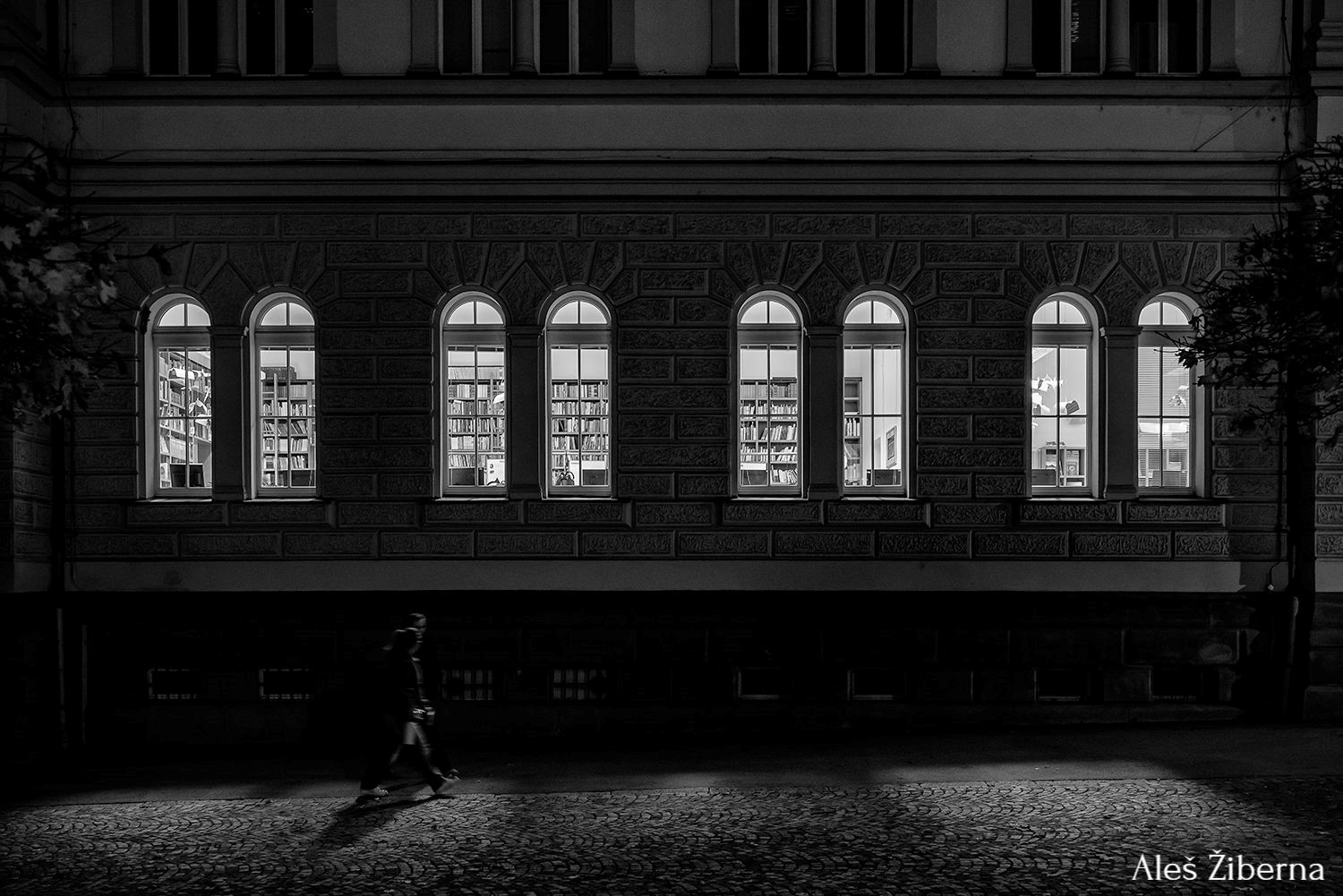 MED BESEDAMI IN SVETLOBO: Odprtje razstave fotografskega društva TOTIFOTO