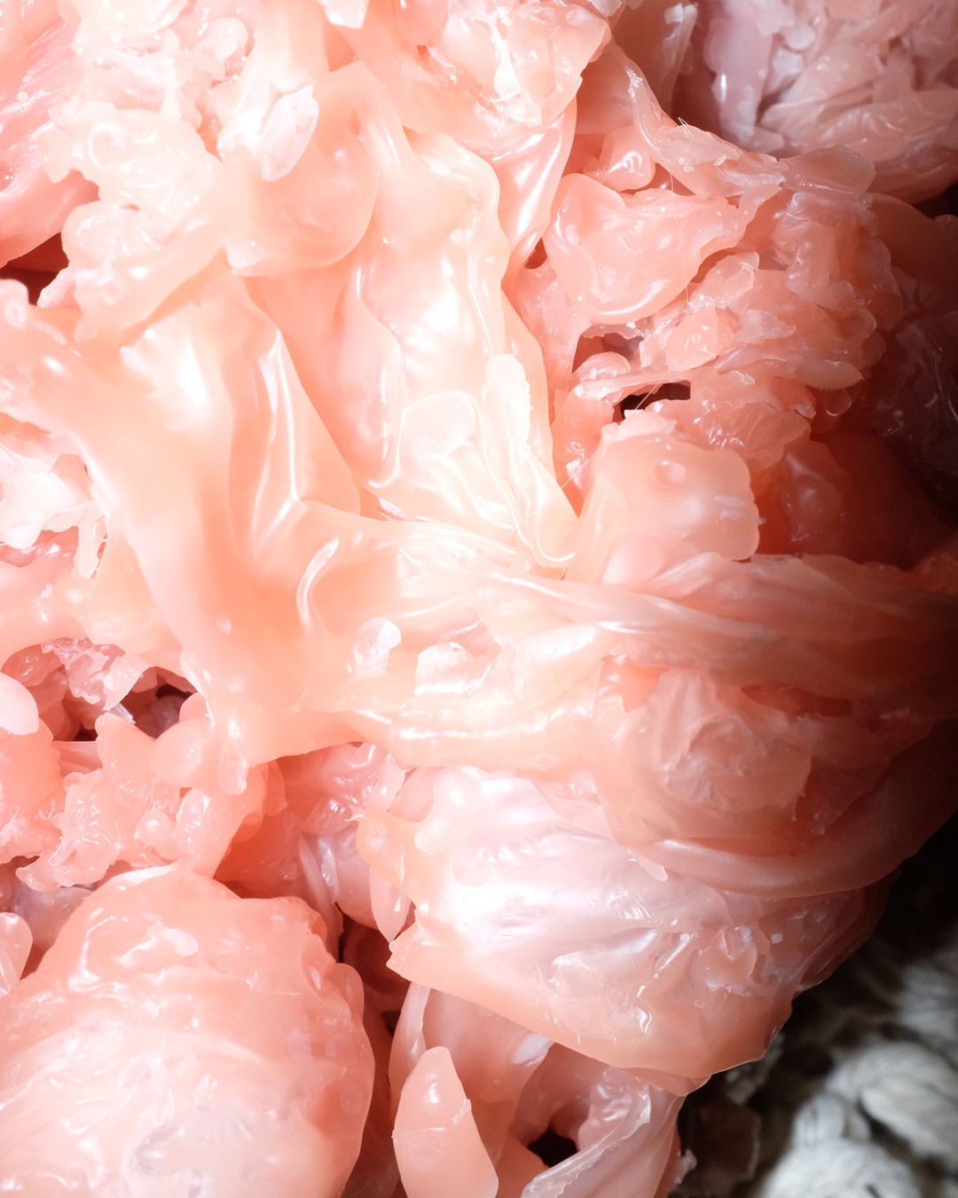 Razstava Urške Preis: Voda, Ogenj, Zemlja, Bol