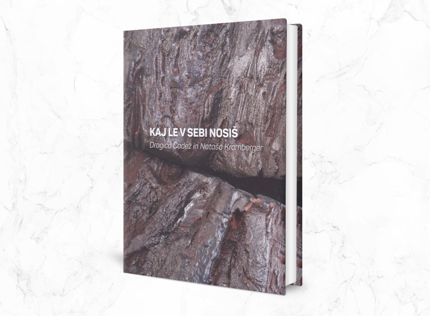 KAJ LE V SEBI NOSIŠ: Predstavitev knjige Dragice Čadež in Nataše Kramberger KAJ LE V SEBI NOSIŠ: Predstavitev knjige Dragice Čadež in Nataše Kramberger