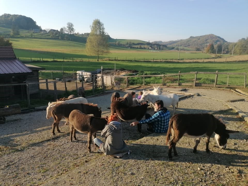 Voden ogled posestva in druženje z živalmi