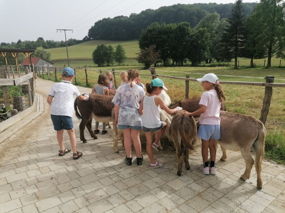 Sobotne urice z živalmi za najmlajše