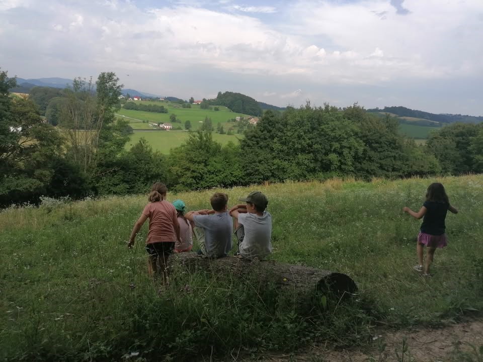 Dnevno počitniško varstvo na kmetiji