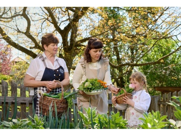 Kovačnikova pomladna miza