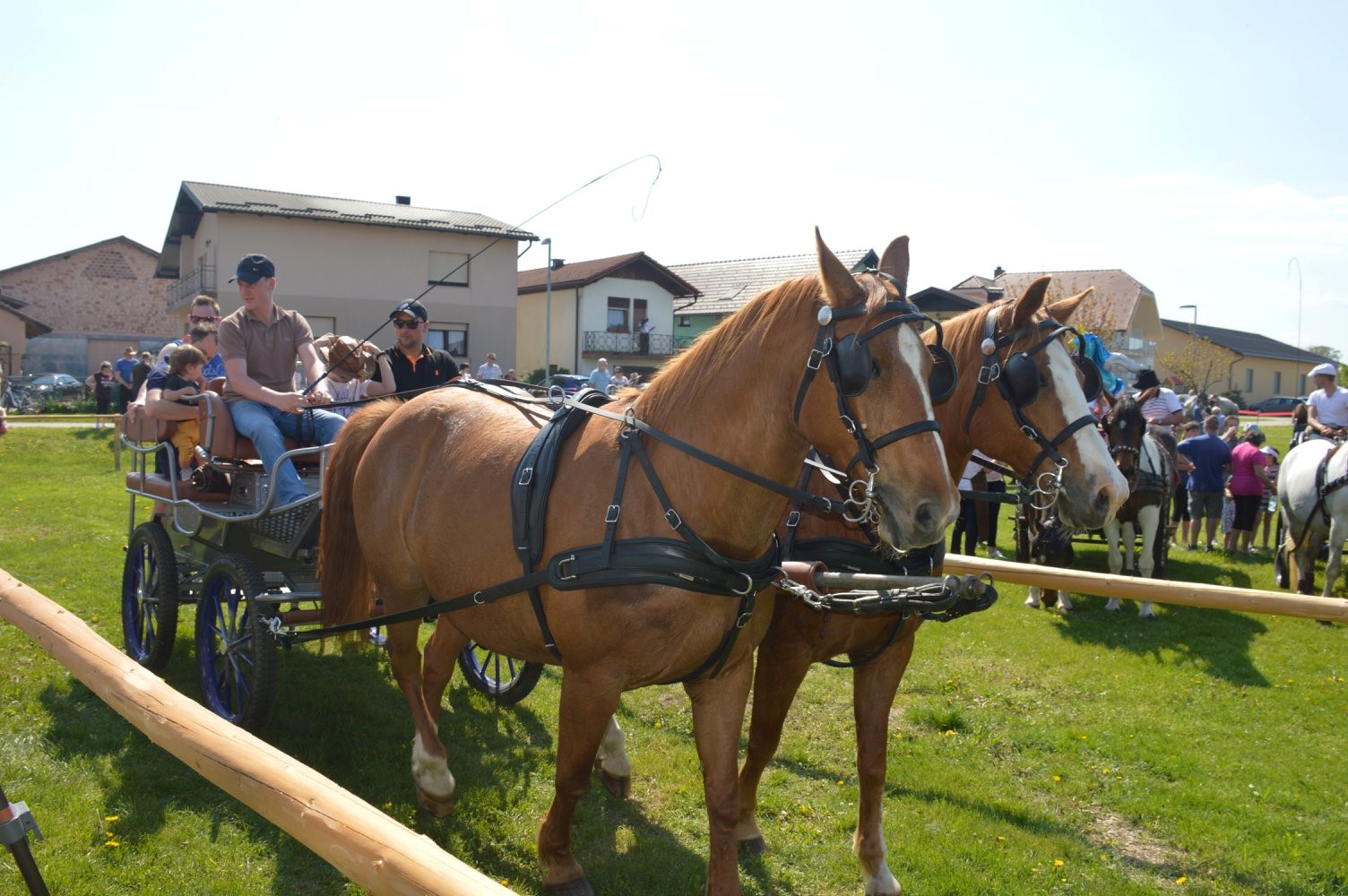Tradicionalno žegnanje konj v Župečji vasi