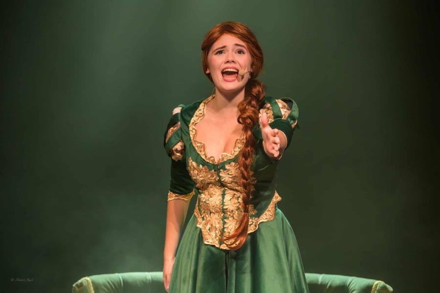 Shrek The Musical Shrek The Musical