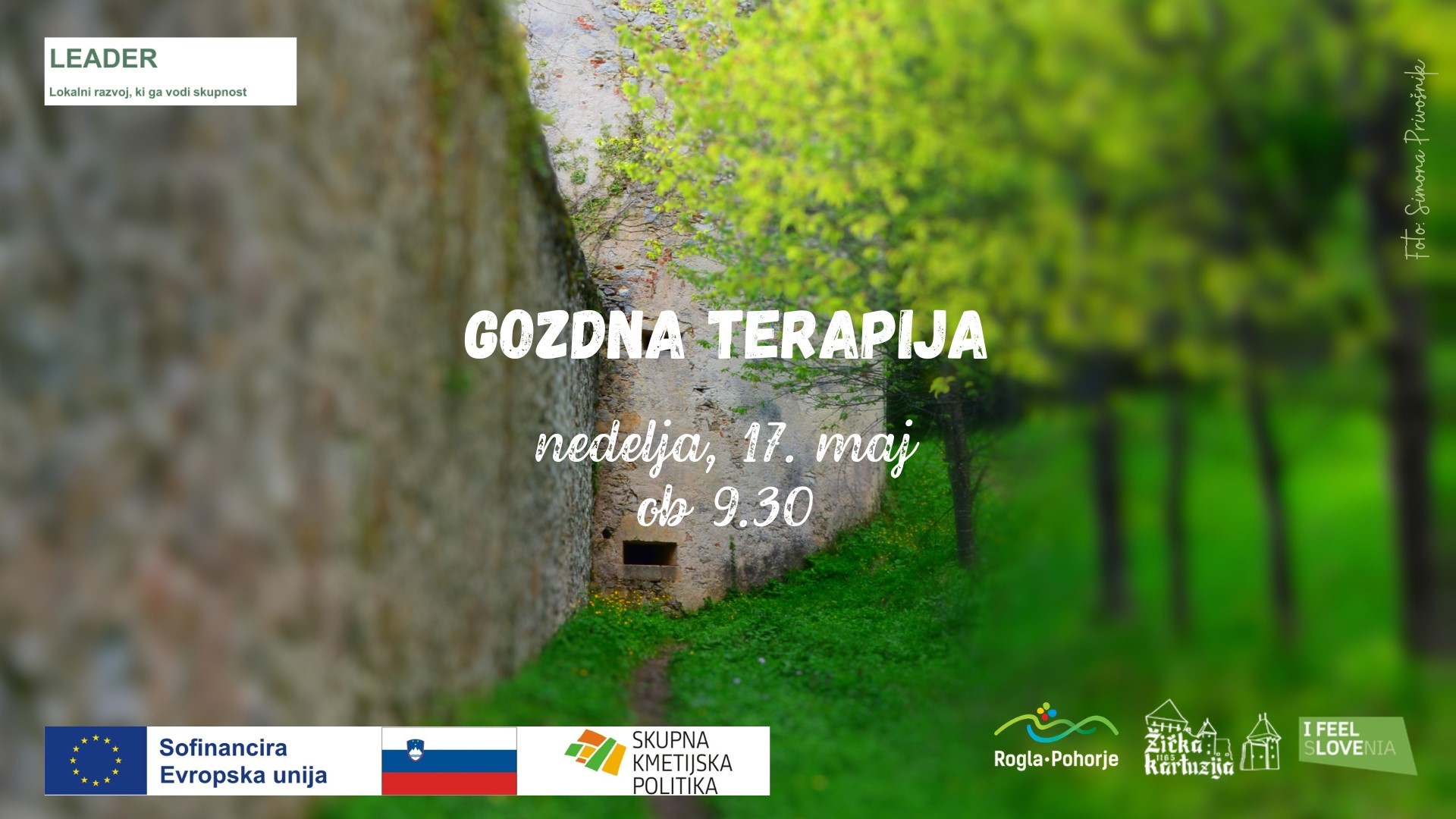 Gozdna terapija